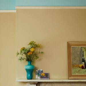 Earthborn Paints New Collection