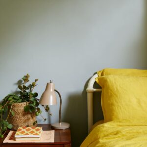 Where to use Earthborn’s new Earth Collection colours