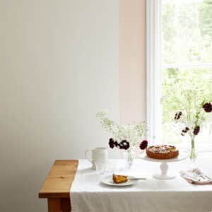 Where to use Earthborn’s new Earth Collection colours