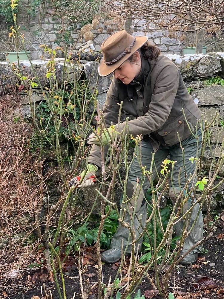 Monthly Gardening Jobs March 