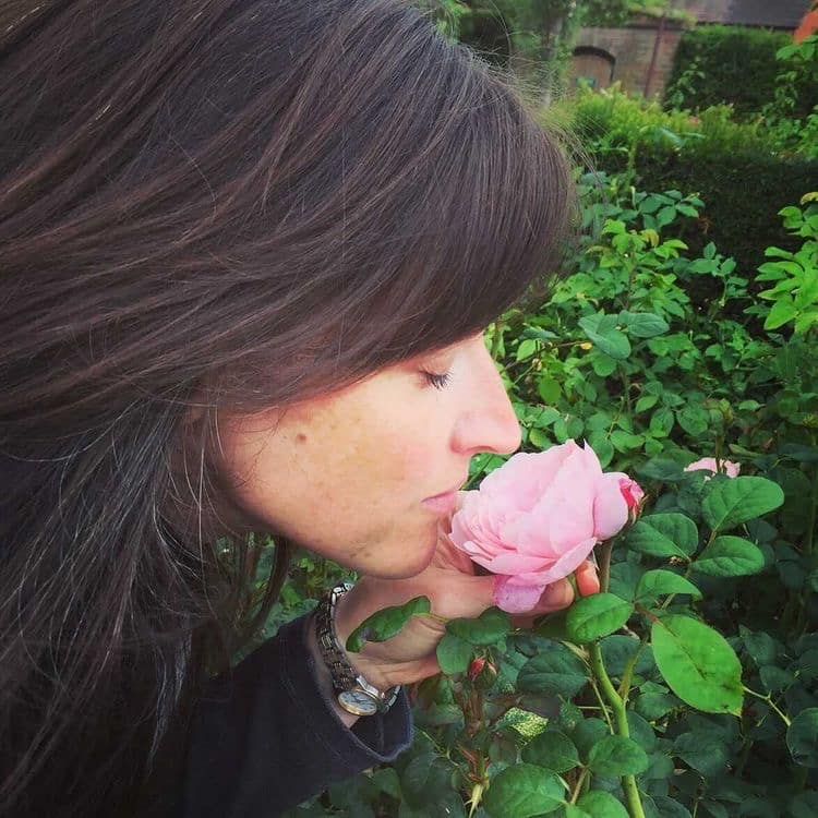 Monthly Gardening Jobs March 