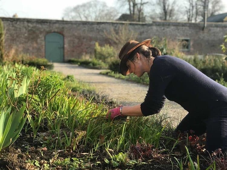 February Gardening Jobs