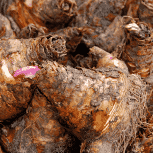 February Gardening Jobs 