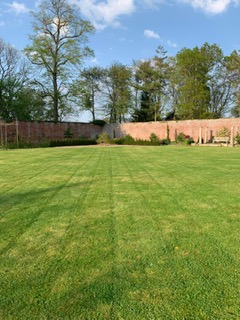 Your monthly Gardening Guide ~ 5 jobs for April 