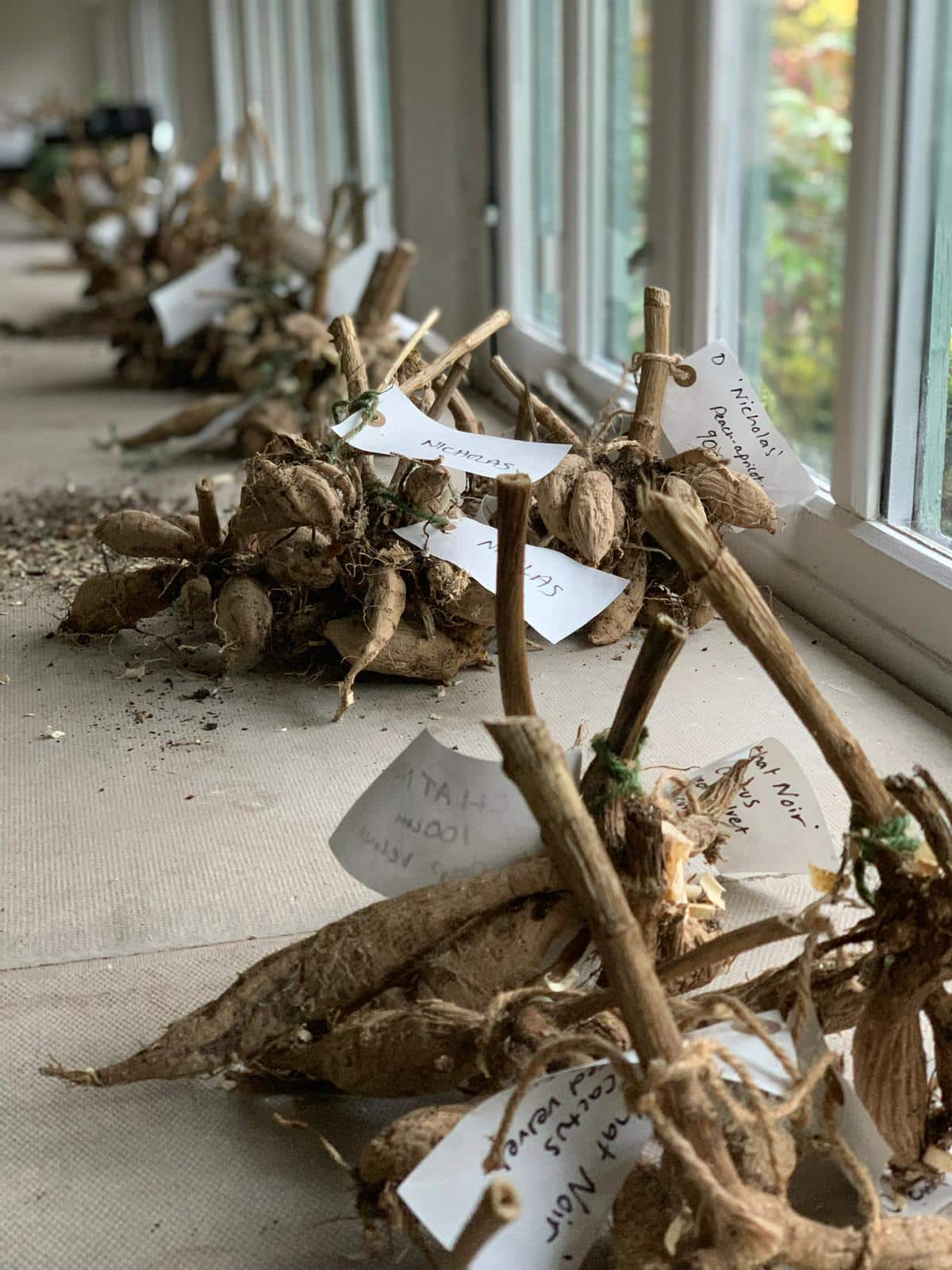 Your monthly Gardening Guide ~ 5 jobs for April 