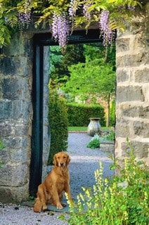 Your monthly Gardening Guide ~ 5 jobs for April
