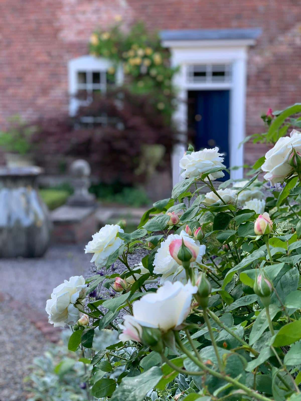 Your monthly Gardening Guide ~ 5 jobs for April 