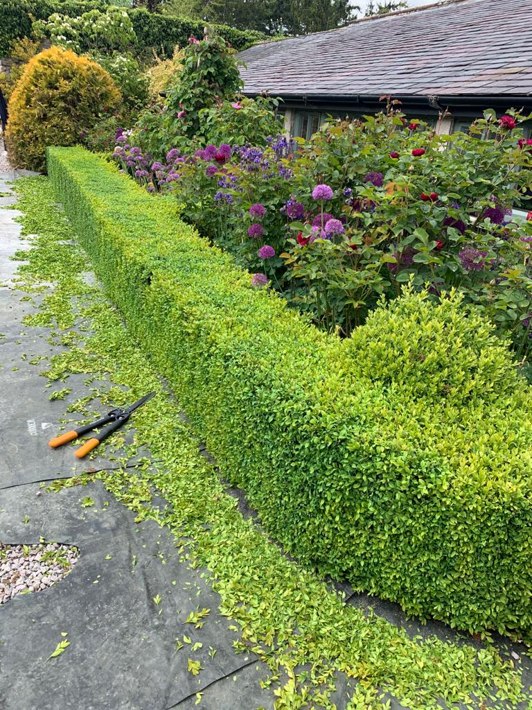 Your monthly gardening guide ~ 5 Jobs for April 