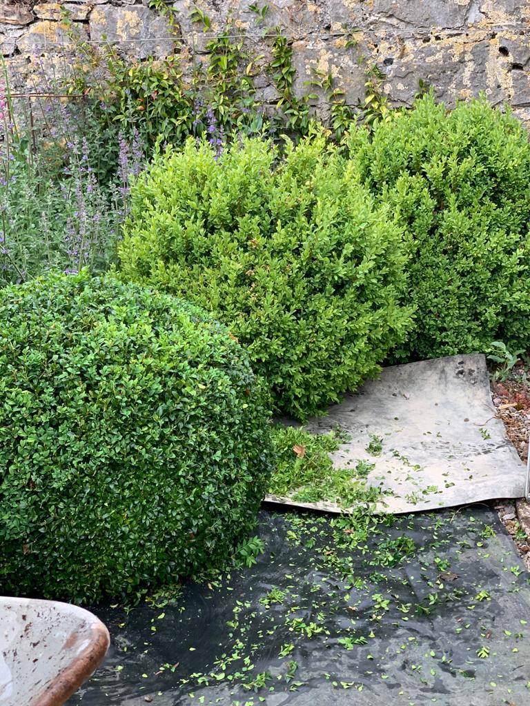 Your monthly gardening guide ~ 5 Jobs for April 