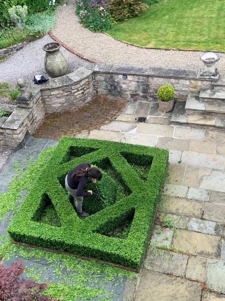 Your monthly gardening guide ~ 5 Jobs for April 