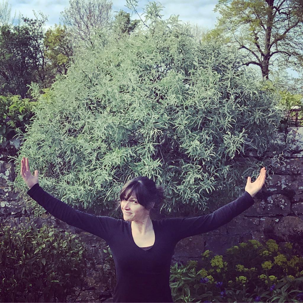 Your monthly gardening guide ~ 5 Jobs for May