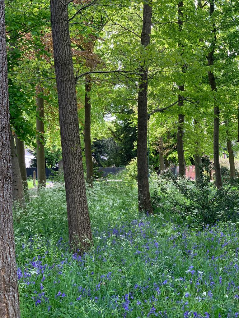 Your monthly gardening guide ~ 5 Jobs for April 