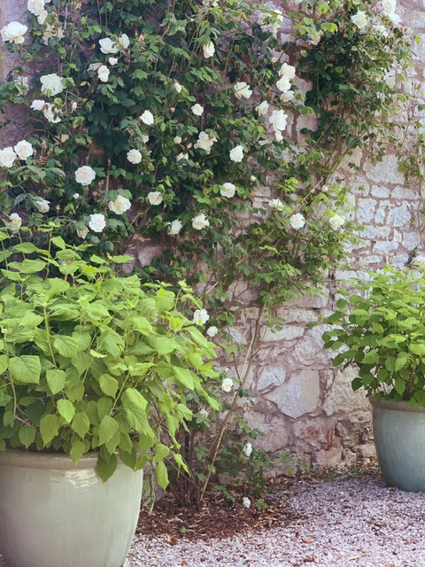 Gardening Jobs in August