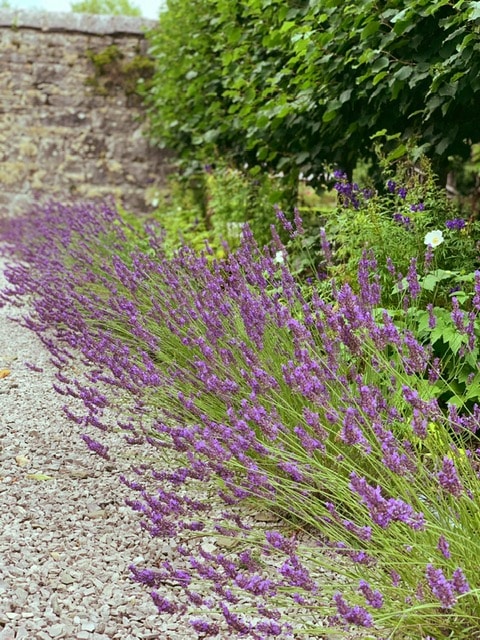 Gardening Jobs August