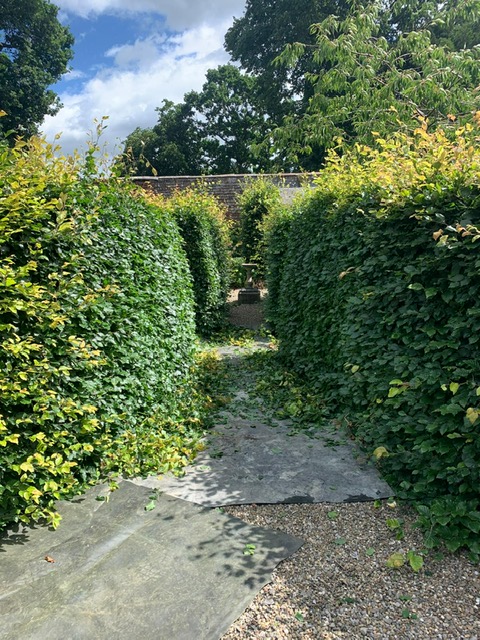 Gardening Jobs August