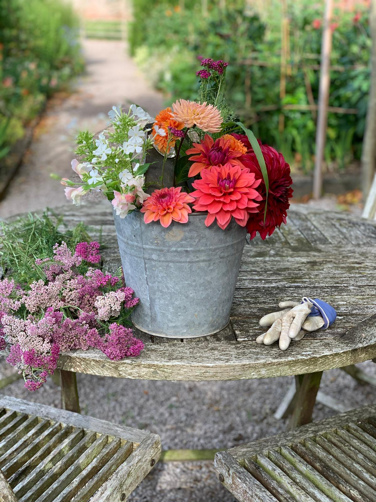 Gardening Jobs August