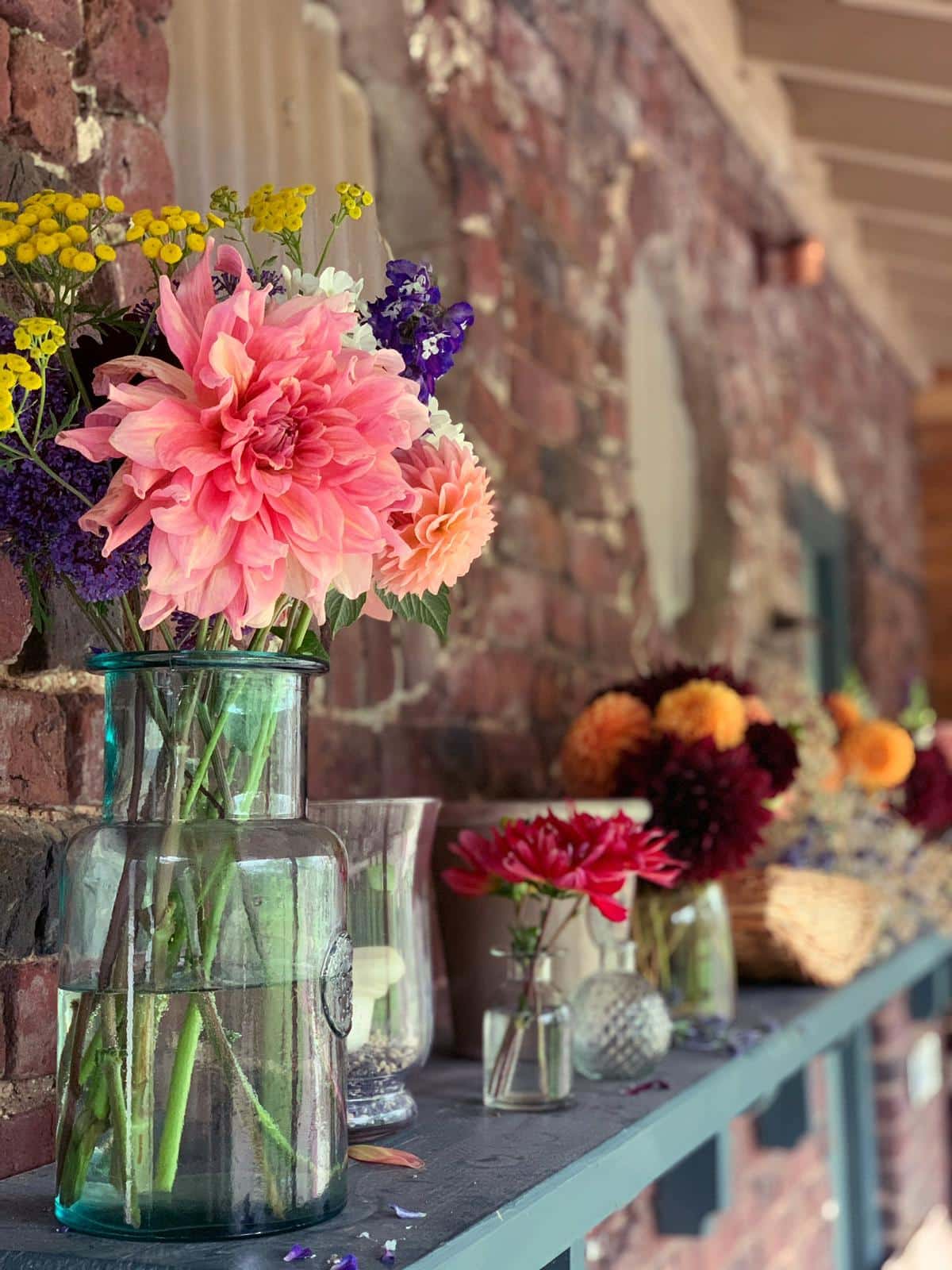 Gardening Jobs August
