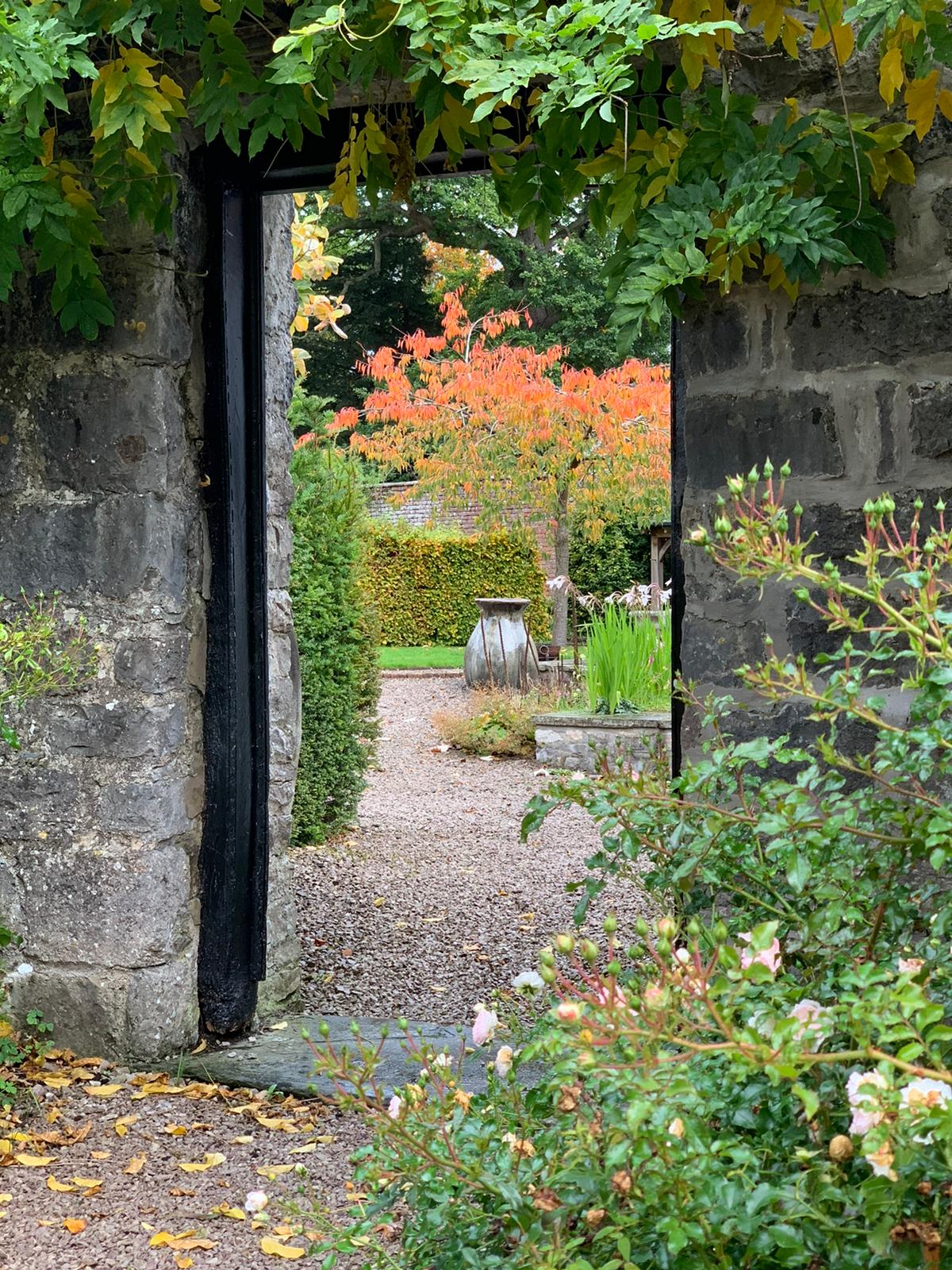 The Laundry Garden