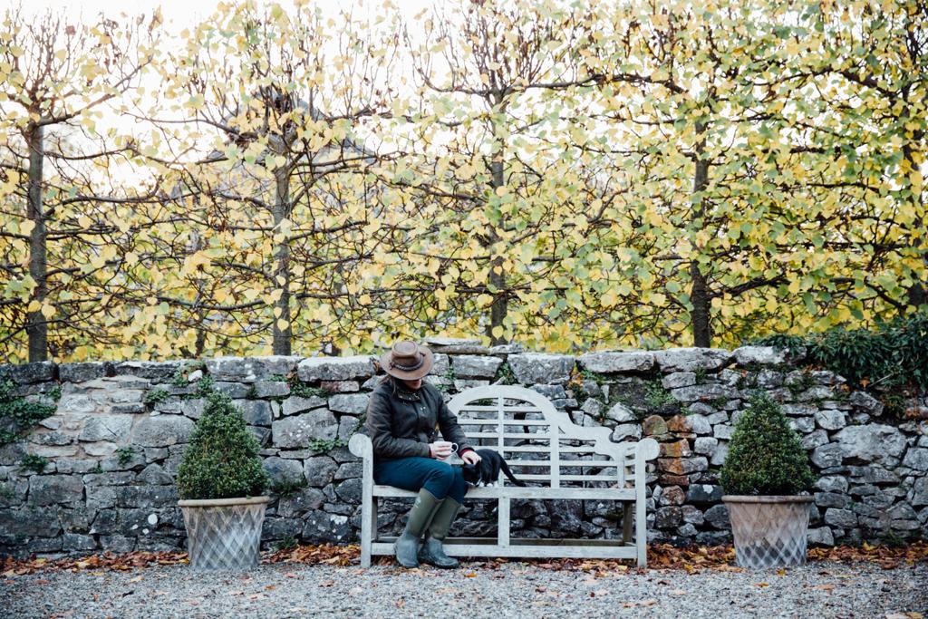 Monthly Gardening Tips October