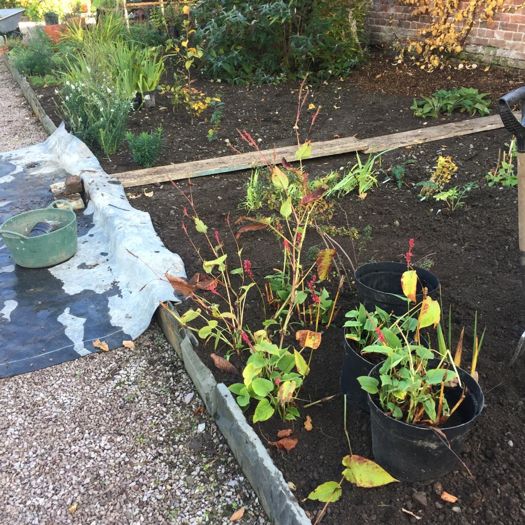Monthly Gardening Guide October