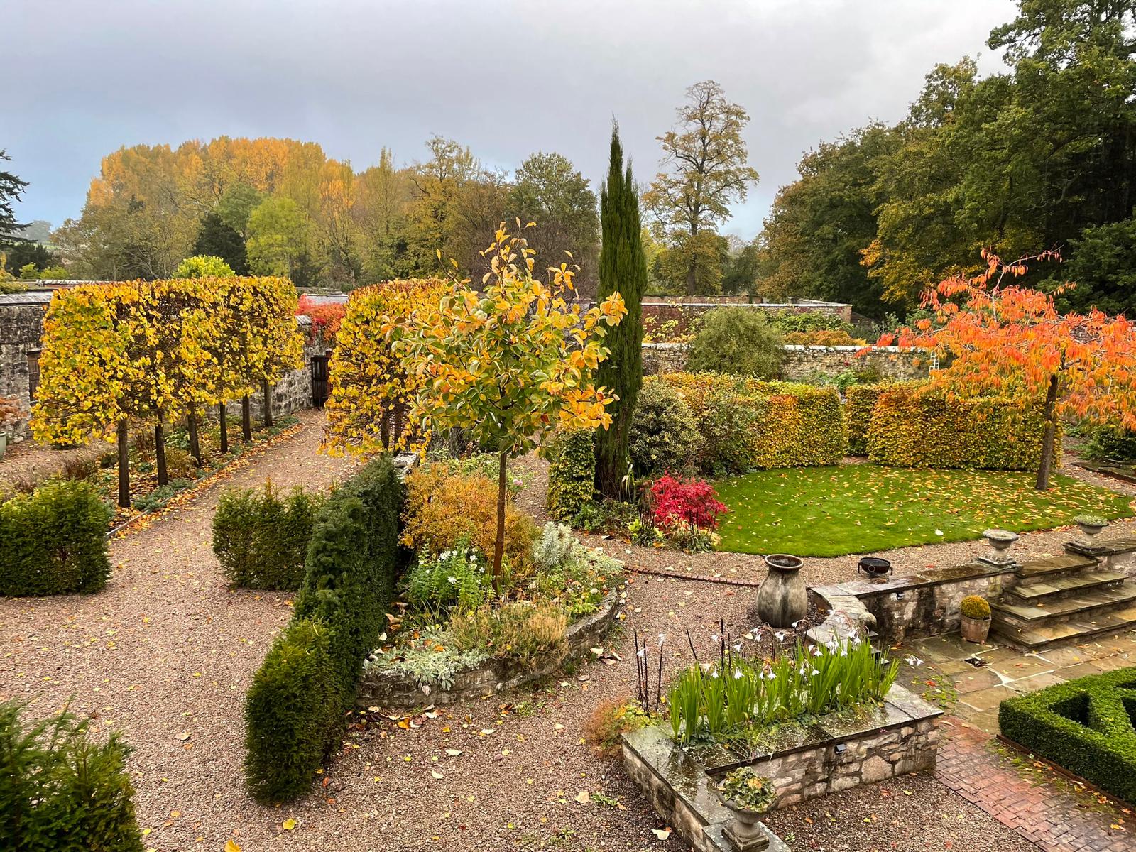 The Laundry Garden