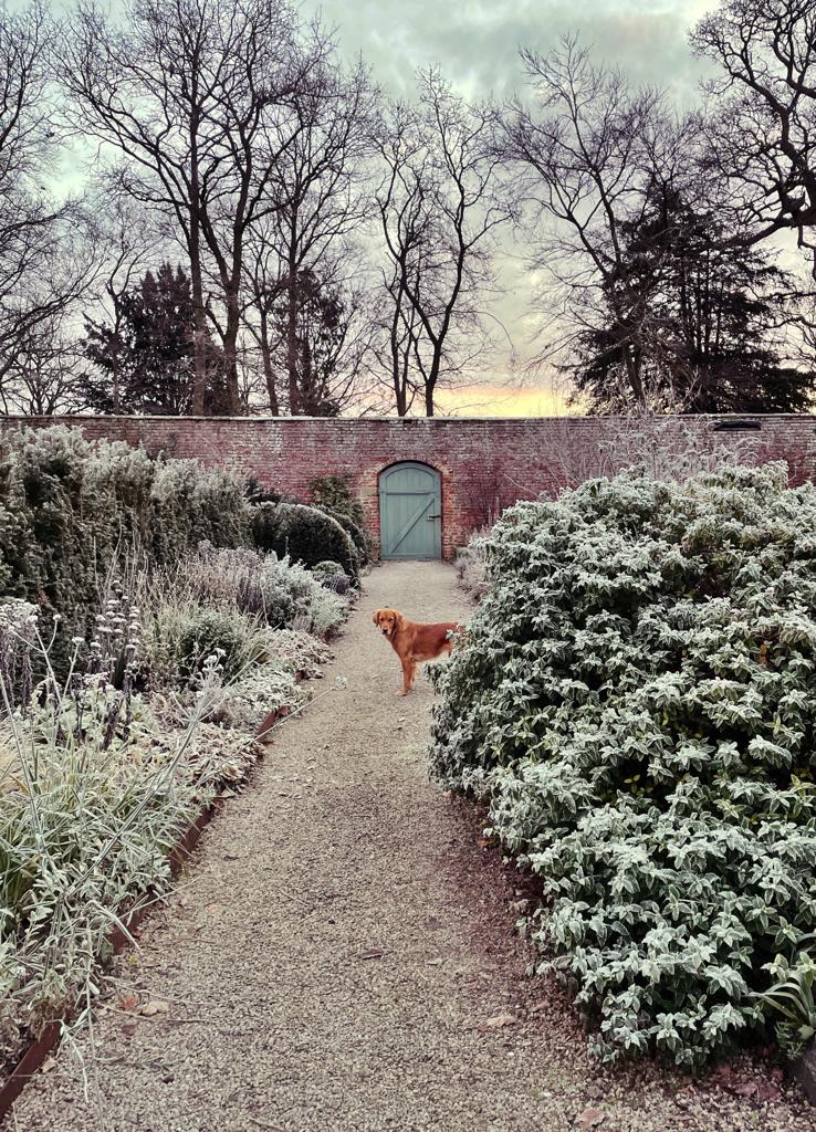 YOUR MONTHLY GARDENING GUIDE ~ 5 JOBS FOR DECEMBER