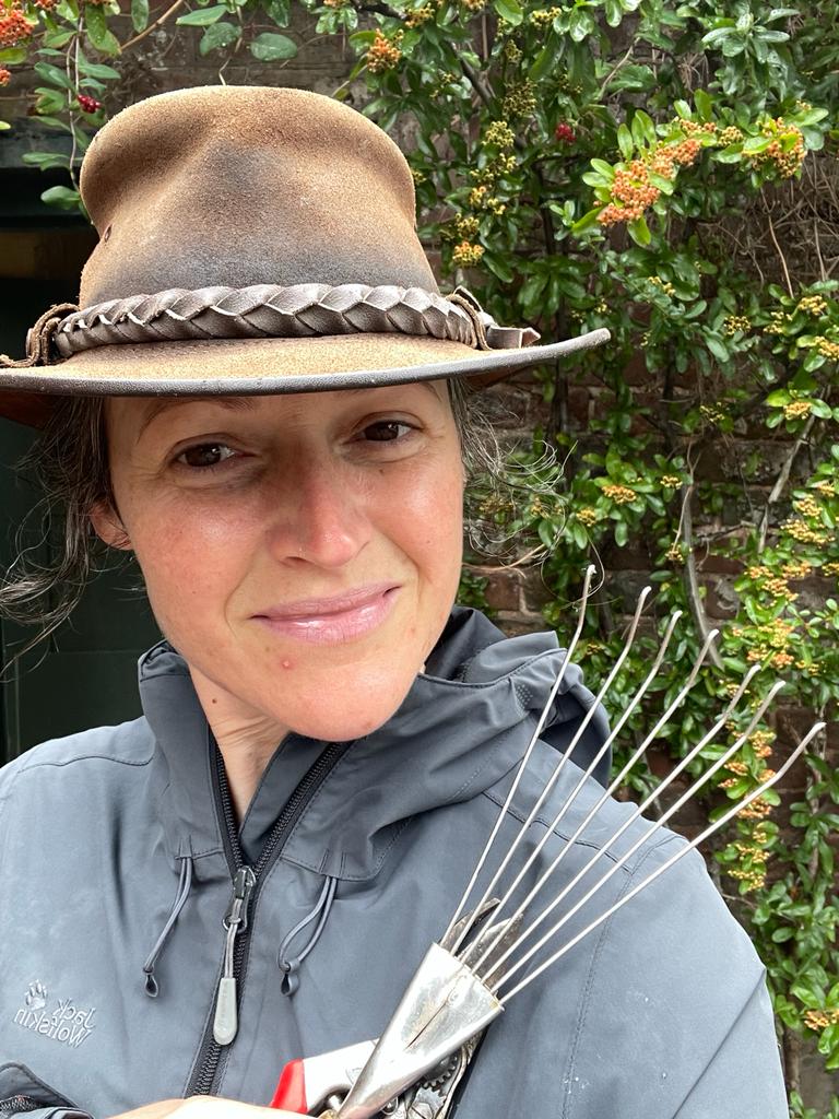 Your monthly gardening Guide ~ 5 jobs for December