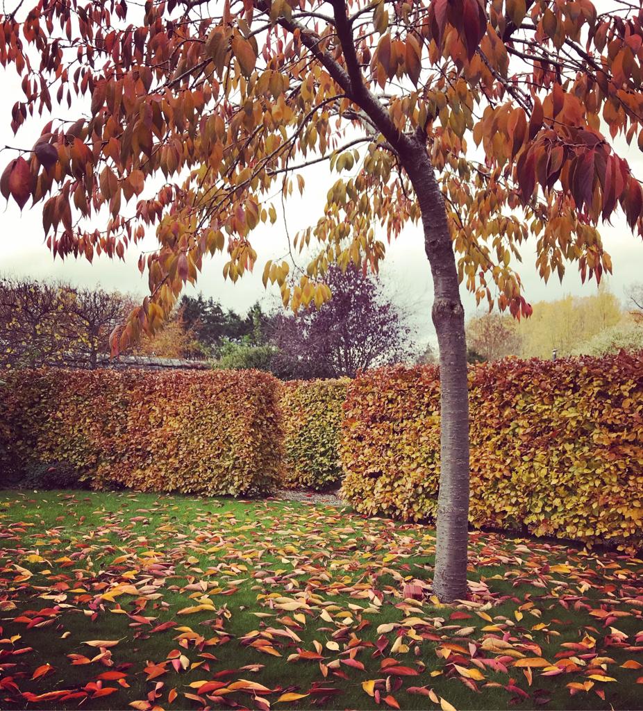 November Gardening Jobs