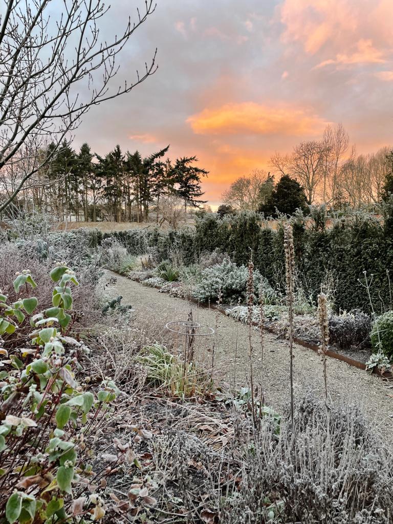 December Gardening Jobs
